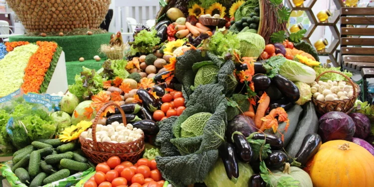 Сегодня в Душанбе состоится выставка-продажа продукции аграриев Худжанда и районов Таджикабад и Джалолиддини Балхи