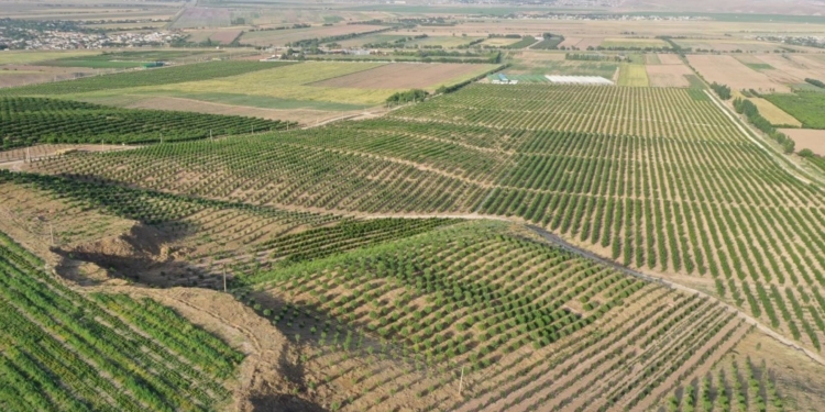 В Таджикистане выявили более 10 тыс. нарушений в земельной сфере