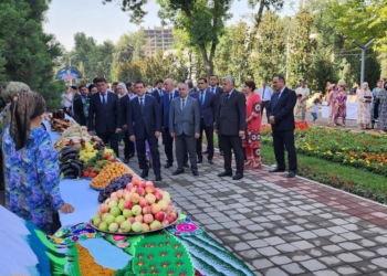 Дни культуры Вахдата прошли в Душанбе