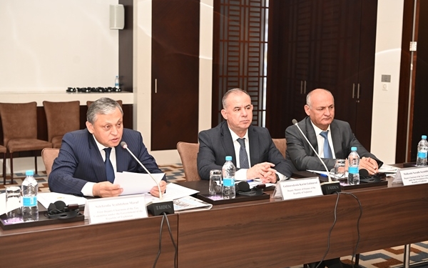 В Таджикистане в 2023 году в рамках налоговой реформы введено 5 видов новых электронных услуг