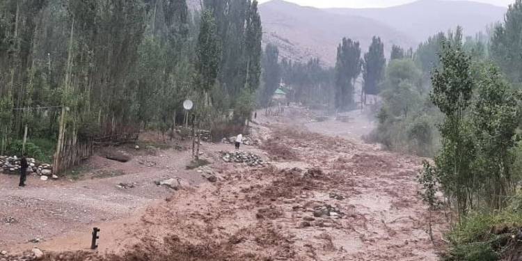 В Согдийской области из-за схода селей повреждены дома и дороги