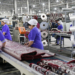 В Гулистоне за полугодие произведено продукции на сумму более 2-х миллиардов сомони