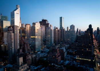 СМИ: Нью-Йорк подвергся нашествию странных насекомых, сравнимых с «библейской чумой»