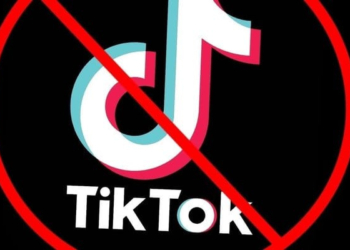 В Киргизии требуют заблокировать доступ к сервису TikTok