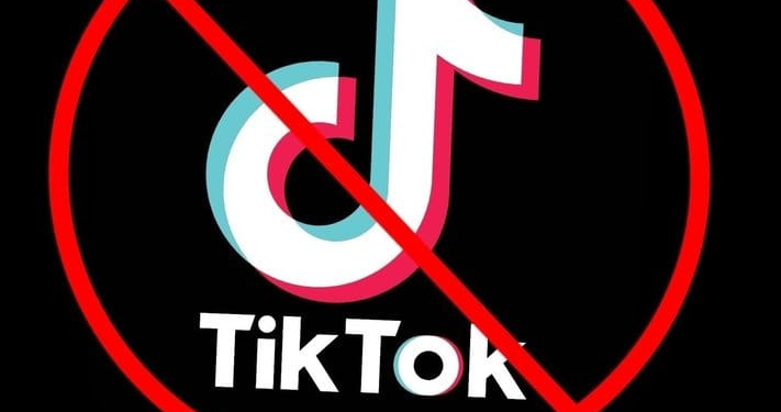 В Киргизии требуют заблокировать доступ к сервису TikTok