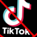 В Киргизии требуют заблокировать доступ к сервису TikTok