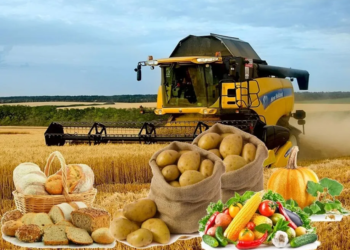 Казахстан будет поставлять сельхозпродукцию в страны Персидского залива через Иран