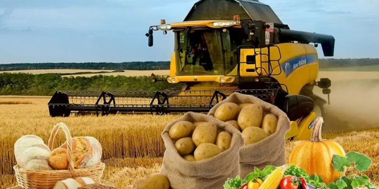 Казахстан будет поставлять сельхозпродукцию в страны Персидского залива через Иран