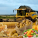 Казахстан будет поставлять сельхозпродукцию в страны Персидского залива через Иран