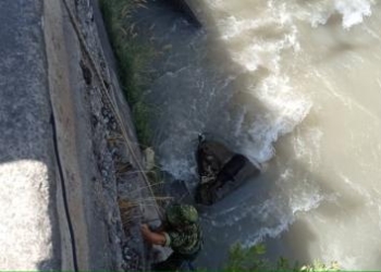 Душанбинские спасатели КЧС вызволили собаку из водяного плена