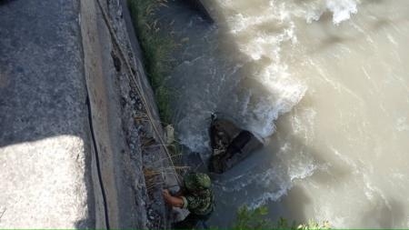 Душанбинские спасатели КЧС вызволили собаку из водяного плена