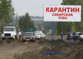 В Воронежской области России выявлен очаг сибирской язвы