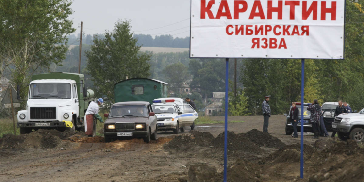 В Воронежской области России выявлен очаг сибирской язвы