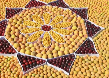 5 и 6 августа в Душанбе пройдут ярмарки сельскохозпродукции