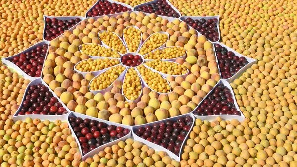 5 и 6 августа в Душанбе пройдут ярмарки сельскохозпродукции