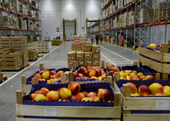 «Таджикматлубот» готовится к резервированию сельскохозпродукции
