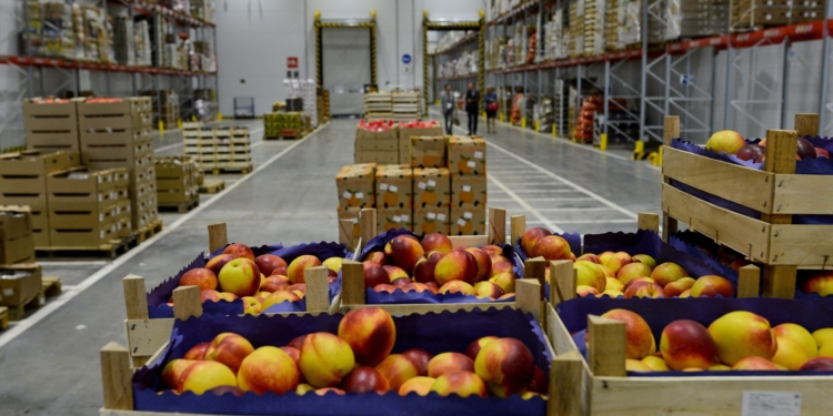 «Таджикматлубот» готовится к резервированию сельскохозпродукции