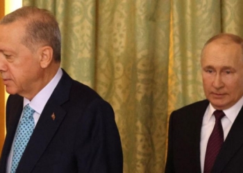 Путину и Эрдогану не удалось договориться о возобновлении зерновой сделки