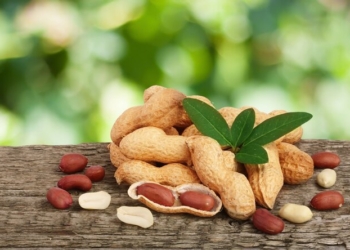 В Мастче приступили к сбору урожая арахиса