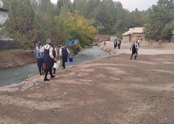 В городе Пенджикент прошла акция “Чистота местности”