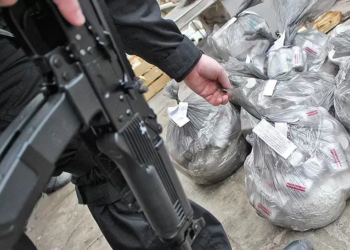 Страны ОДКБ провели субрегиональную антинаркотическую операцию «Канал-Перехват»