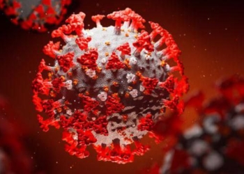 Заболеваемость COVID-19 в мире выросла на 38% за 28 дней, — ВОЗ