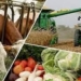 В Таджикистане за 9 месяцев произведено сельскохозпродукции на 107,9 %