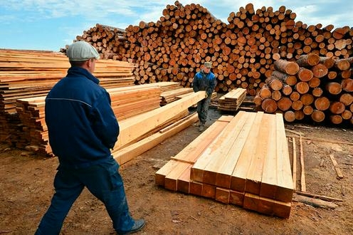 Казахстан остановил транзит продуктов деревопереработки из России на рынки стран Центральной Азии