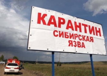 Казахстан: в Карагандинской области умер зараженный сибирской язвой мужчина