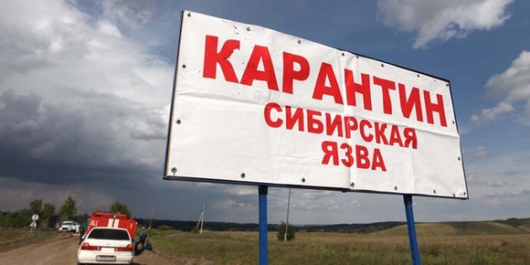 Казахстан: в Карагандинской области умер зараженный сибирской язвой мужчина