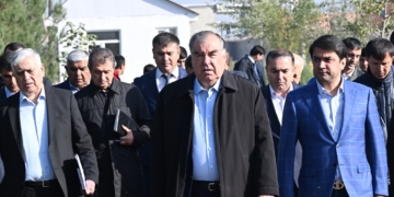 Эмомали Рахмон и Рустам Эмомали ознакомились с ростом тенистых и декоративных деревьев в Национальном саде