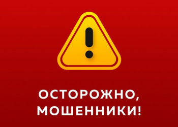 Душанбинец лишился 700 тысяч сомони в надежде расширить свой бизнес