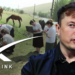Казахстан: физлицам запретили использовать интернет Илона Маска
