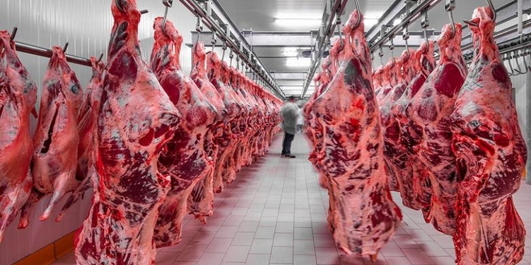 Объем производства мяса крупного и мелкого скота увеличился на 11,3 %