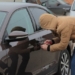 Сотрудниками милиции раскрыты два случая кражи из салона автомобиля