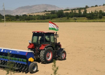 В Таджикистане проходит кампания осеннего сева сельхозкультур
