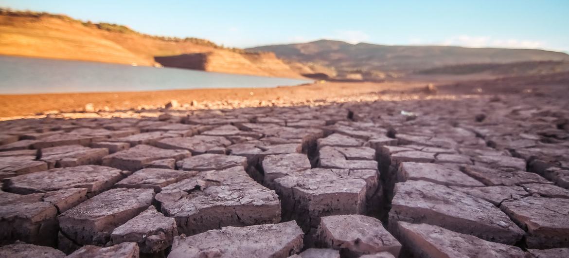 Продолжи земля. Climate change.