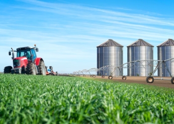 ФАО: скрытые расходы мирового сельского хозяйства составляют не менее 10 триллионов долларов