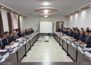 Таджикистан и Киргизия согласовали еще 47,5 км общей границы