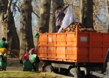 В Ховалингском районе провели акцию «Чистота местности» и посадили саженцы