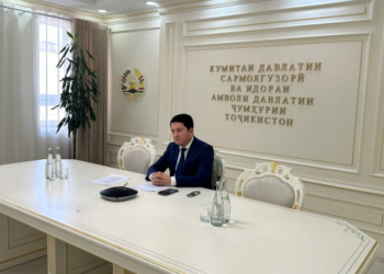 В Таджикистане успешно функционируют более 400 предприятий с российским капиталом