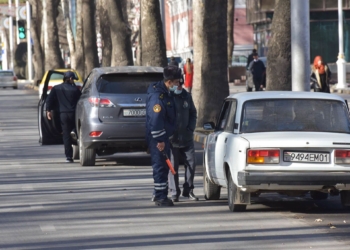 На автодорогах Душанбе проведены экологические рейды