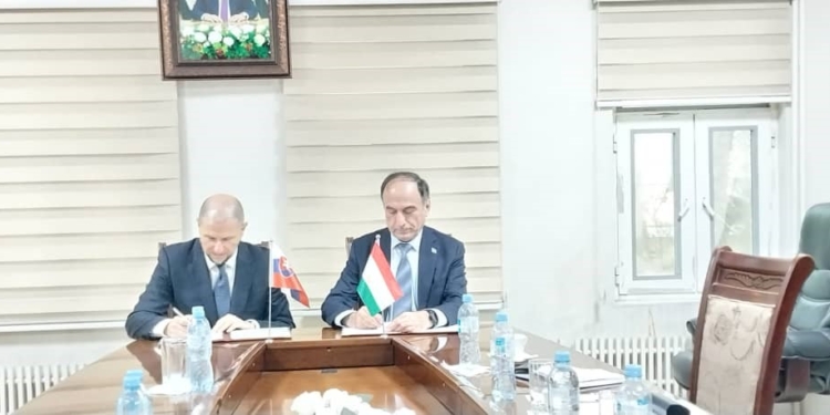 Словакия готова инвестировать в дорожно-транспортную сферу Таджикистана