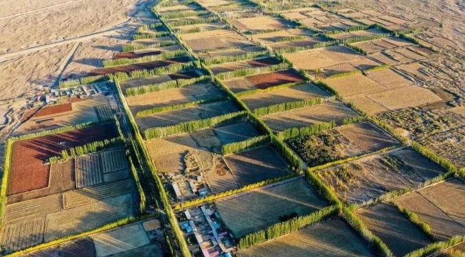 В 2023 году северные районы Китая развернули борьбу с опустыниванием на площади свыше 660 тыс. га