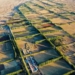 В 2023 году северные районы Китая развернули борьбу с опустыниванием на площади свыше 660 тыс. га