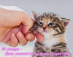 Сегодня мир отмечает Международный день нежности ко всем живым существам