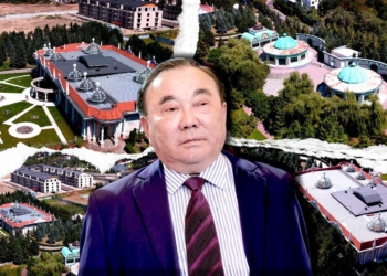 В Казахстане в госсобственность вернули 20 га земли, принадлежавшие брату Назарбаева