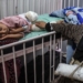 Палестина: ВОЗ зафиксировала около 600 атак на медицинские учреждения