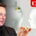 Маск: Первый человек с мозговым имплантом от Neuralink смог управлять компьютерной мышью с помощью мыслей