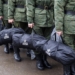 Депутаты России отозвали подписи под проектом о призывном возрасте для новых россиян после критики Володина